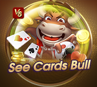 See Cards Bull